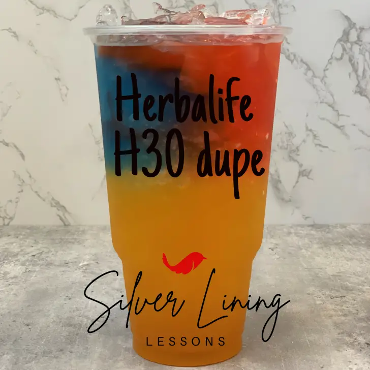 The Herbalife H30 Fitness Drink Dupe Silver Lining Lessons
