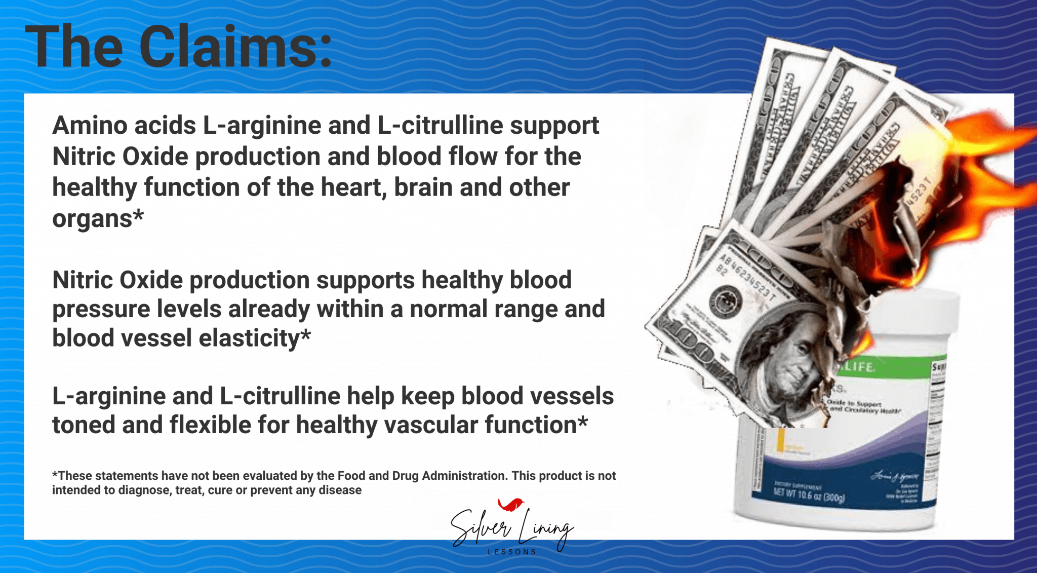 Niteworks Blood Flow Example Niteworks: The Overpriced Dream – Silver Lining Lessons